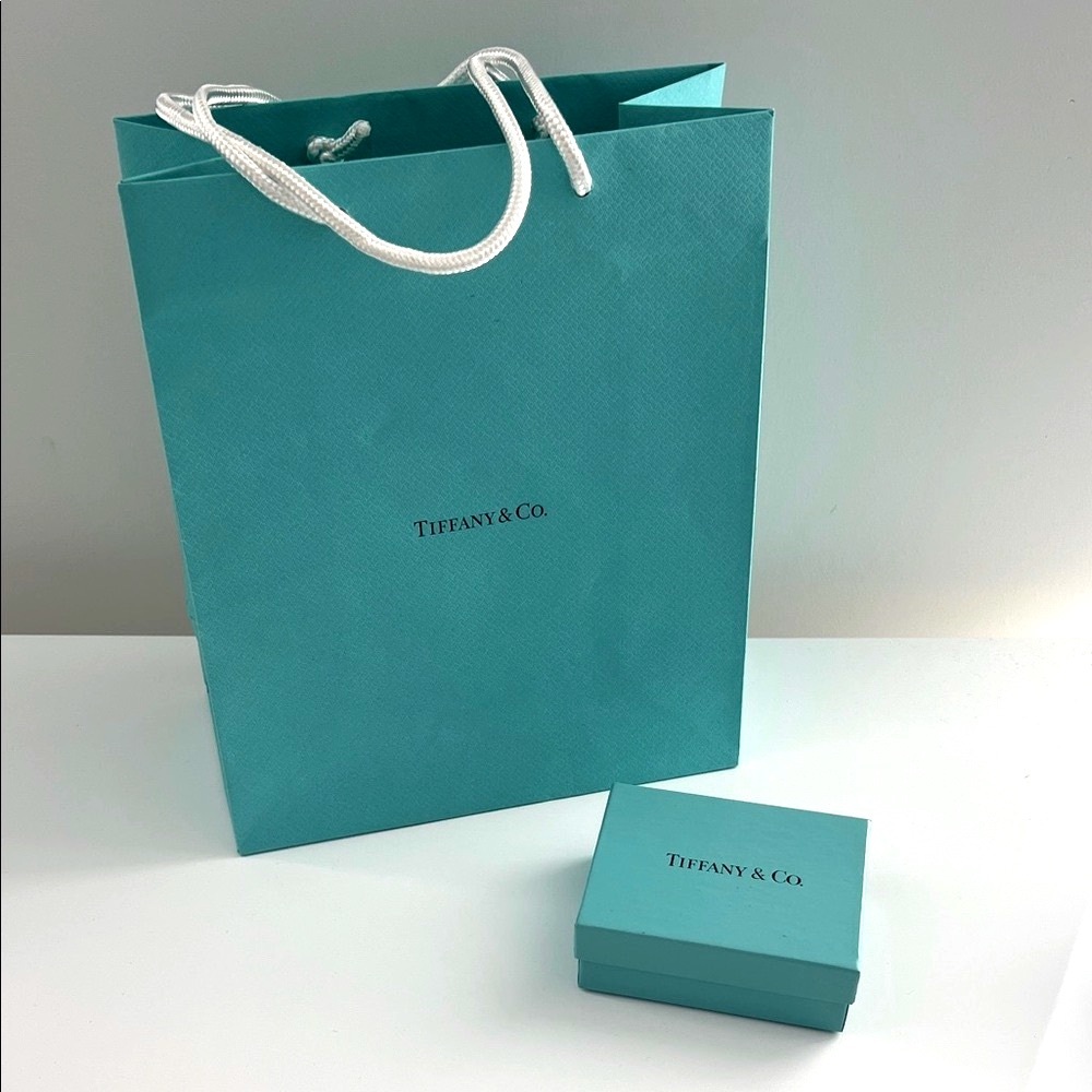 💯 Authentic Tiffany & Co. Bag and Box (empty)